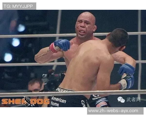 丹叔与比斯平的巅峰对决谁将成为终极格斗之王的传奇传承者